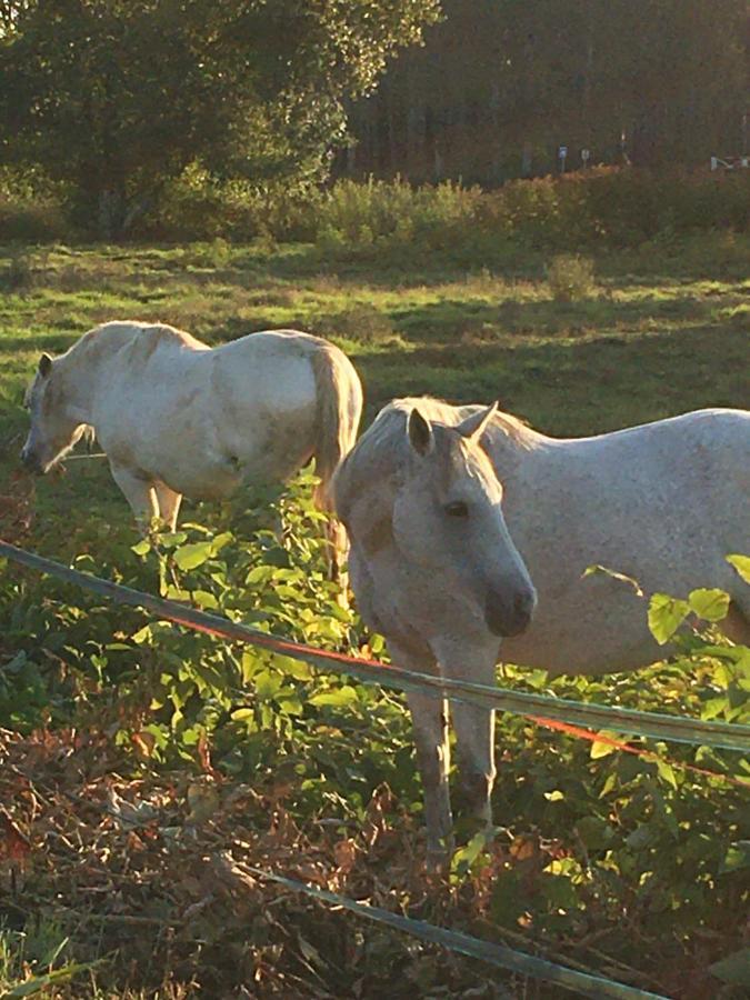 Gite Orget Saint-Macaire Exterior foto